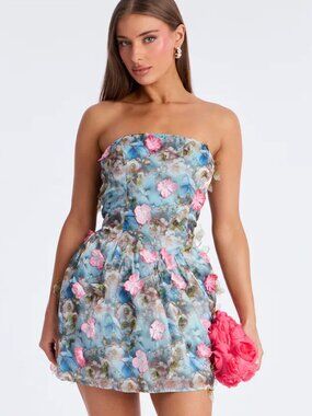 She Was A Fairy Floral Mini Dress - Blue/combo